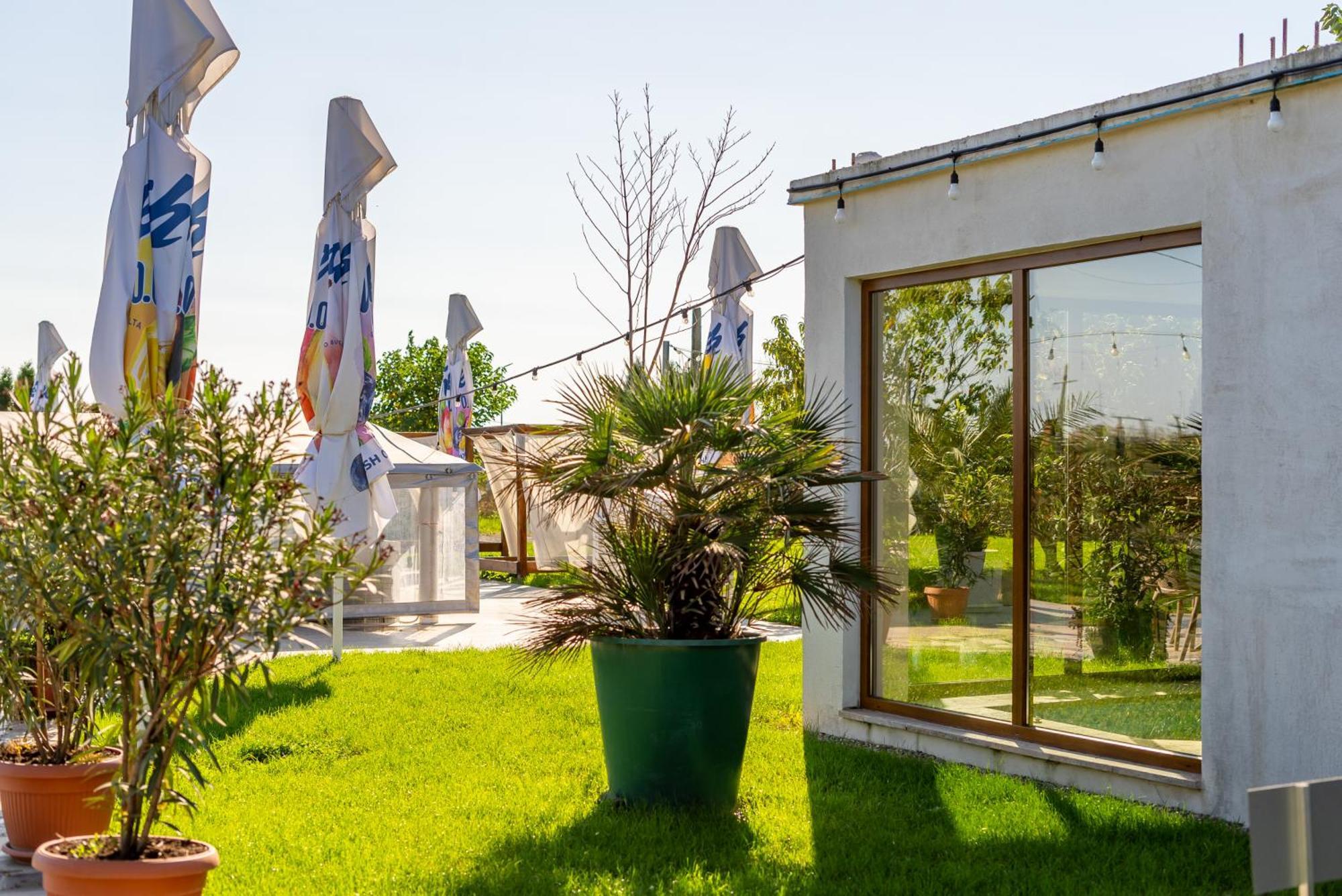 דירות Vladimirescu La Casa Blanca מראה חיצוני תמונה
